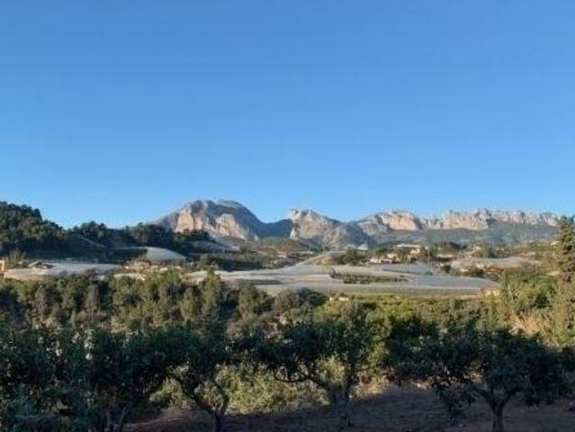 Terreno en venta Callosa d'En Sarria
