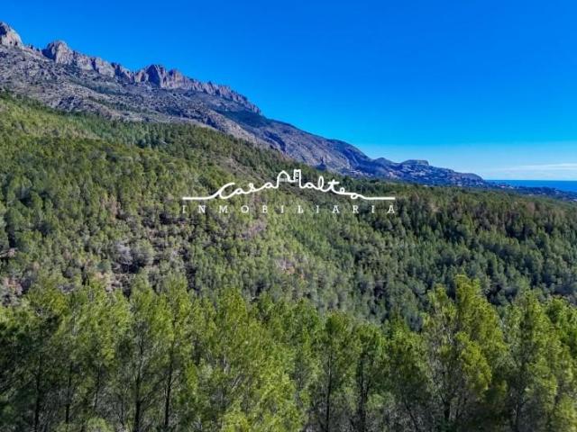 Terreno en venta Callosa d'En Sarria