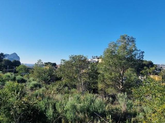 Terreno en venta Calpe