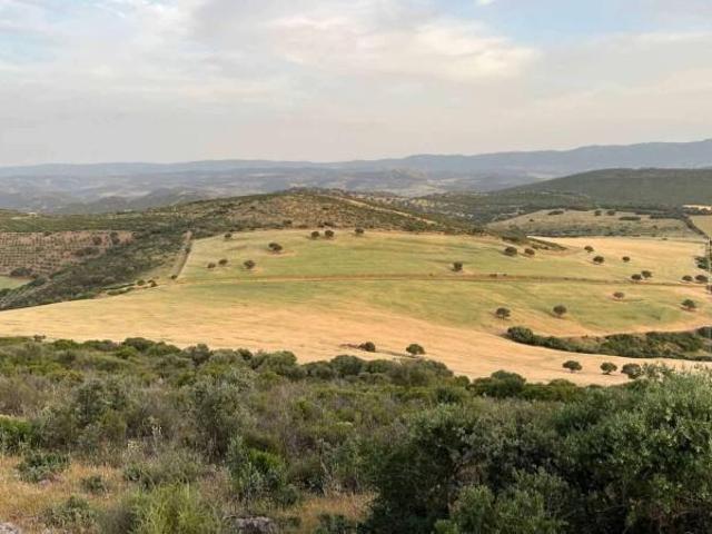 Terreno en venta Calzada de Calatrava