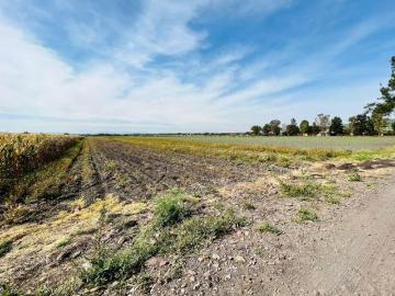 TERRENO EN VENTA, CAMINO A LA ORDEÑA, $200.00 MXN por m2