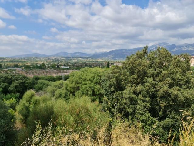 Terreno en venta Campanet