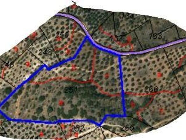 Terreno en venta Campillo de Arenas