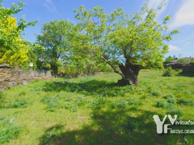 Terreno en venta Campillo de Ranas