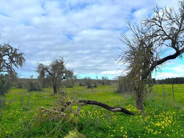 Terreno en venta Campos