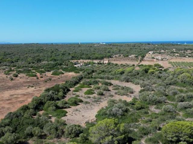 Terreno en venta Campos