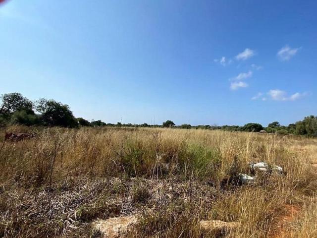 Terreno en venta Campos
