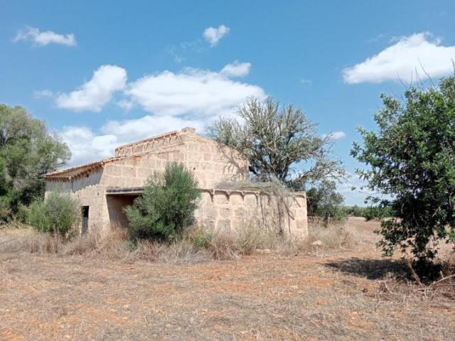 Terreno en venta Campos