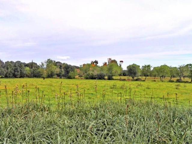 Terreno en venta Campos