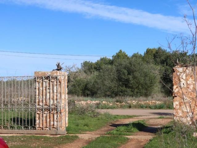 Terreno en venta Campos