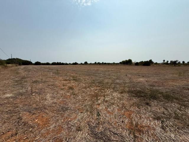 Terreno en venta Campos