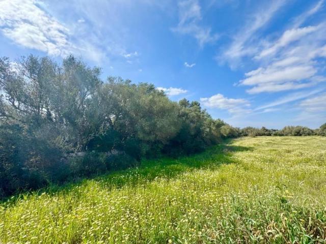 Terreno en venta Campos