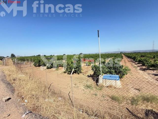Terreno en venta Cantillana