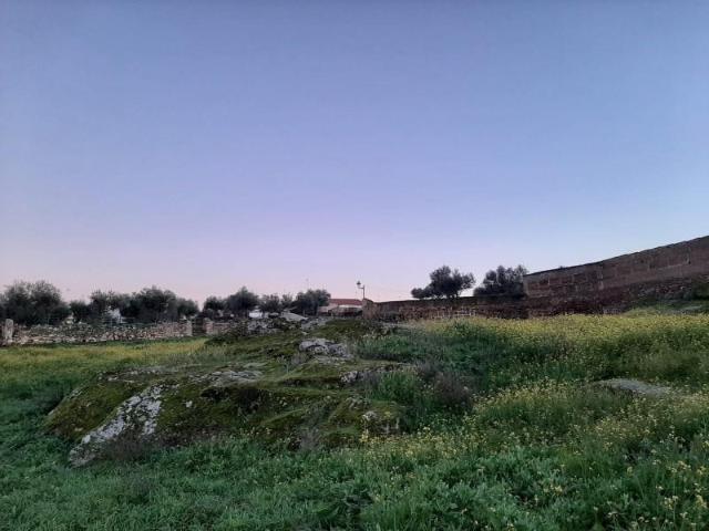 Terreno en venta Casar de Cáceres
