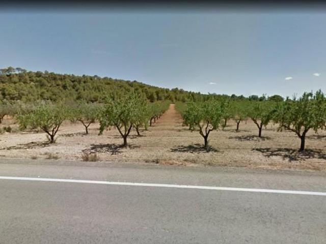 Terreno en venta Casinos