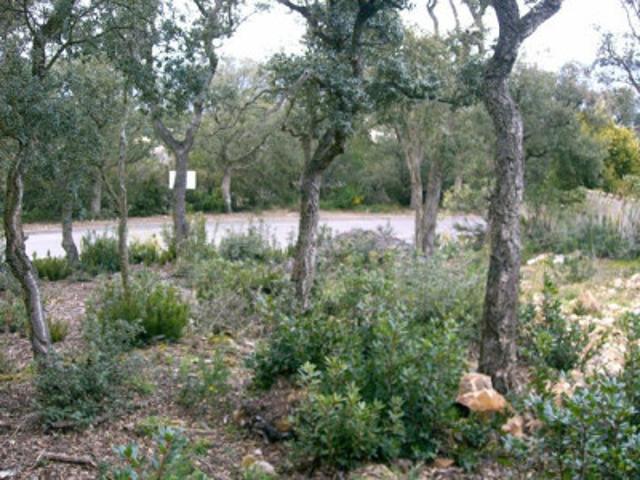 Terreno en venta Castell Platja d'Aro