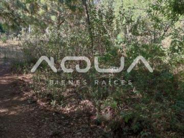 TERRENO EN VENTA CASTELLANO
