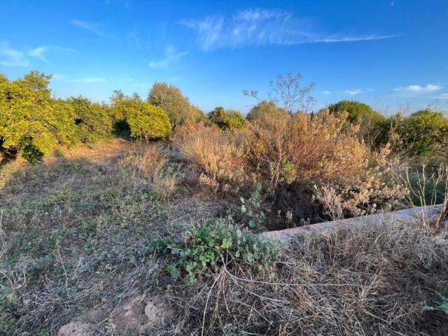 Terreno en venta Castellón de la Plana