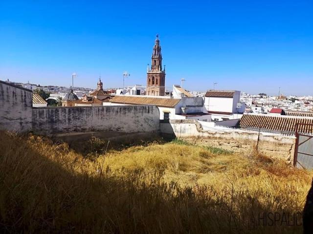 Terreno en venta Carmona