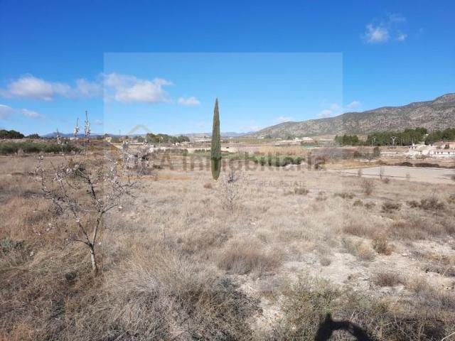 Terreno en venta Caravaca de la Cruz