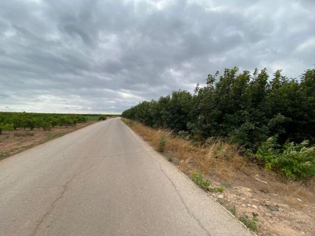 Terreno en venta Carlet