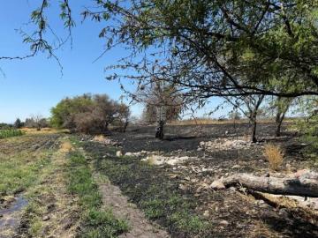 Terreno en Venta, Carr. Salamanca La Ordeña