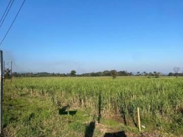 TERRENO EN VENTA CARR. PEÑUELA PARAJE NVO. AMATLAN DE LOS REYES, VER
