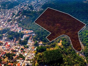 Terreno en venta Carretera Xalapa Coatepec, ideal para desarrollo residencial