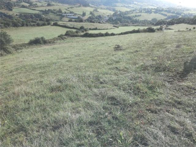 Terreno en venta Carreño