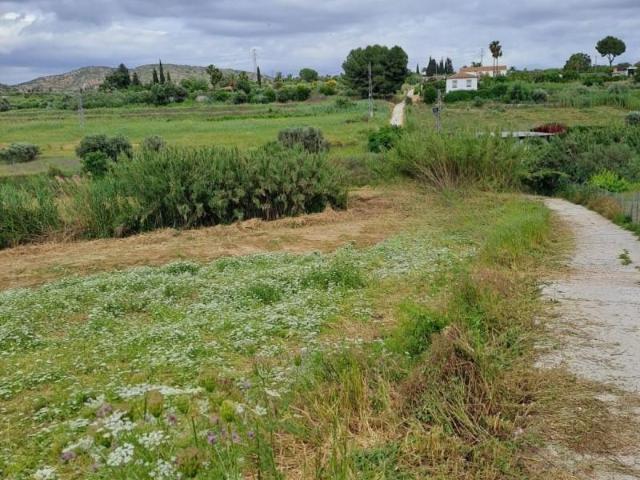 Terreno en venta Cártama