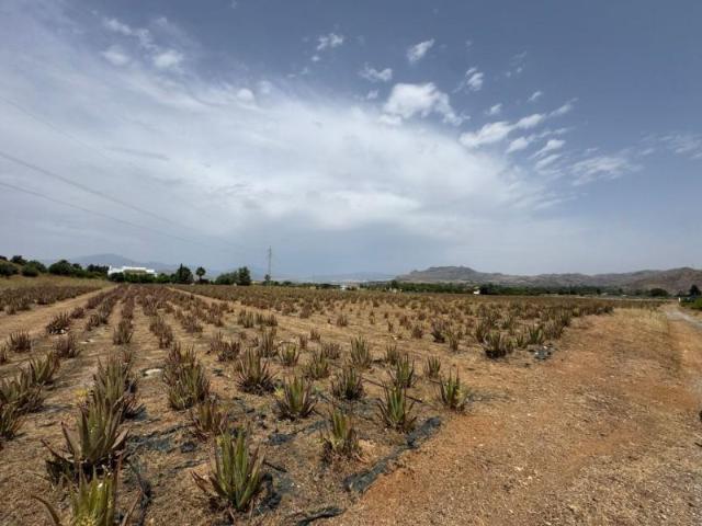 Terreno en venta Cártama