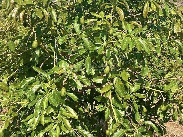 Terreno en venta Cártama