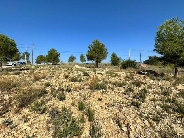 Terreno en venta Catadau