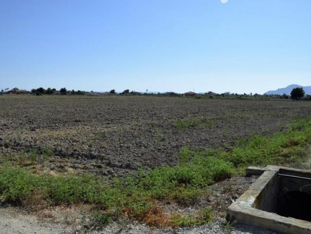Terreno en venta Catral