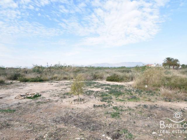 Terreno en venta Catral