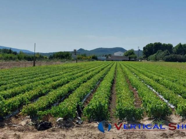 Terreno en venta Caudete