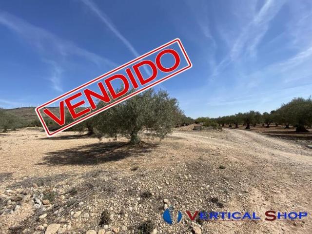 Terreno en venta Caudete