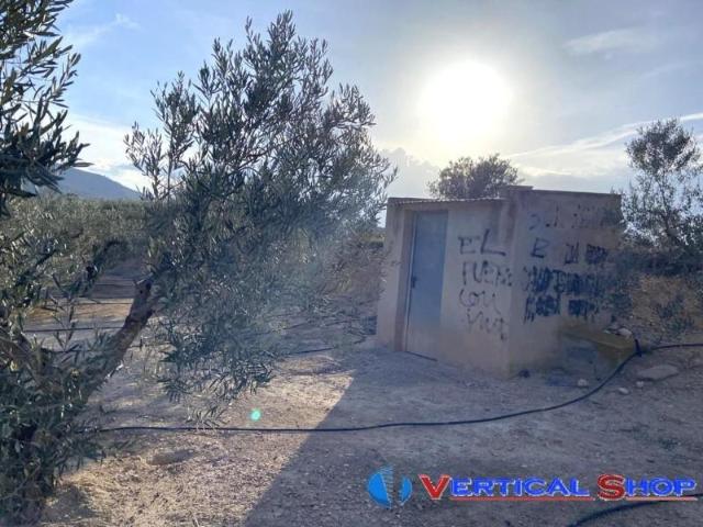 Terreno en venta Caudete