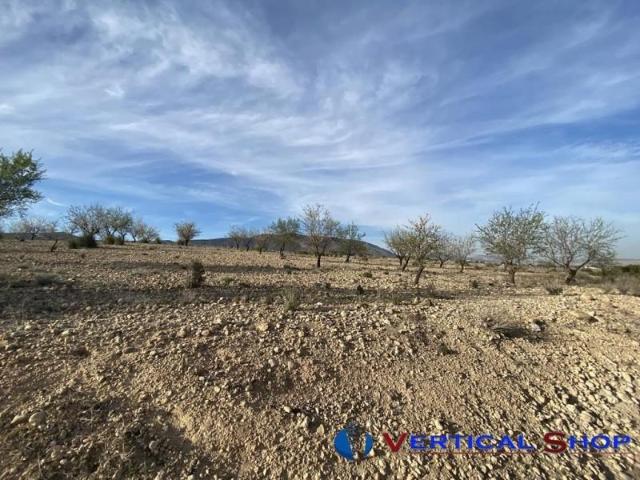 Terreno en venta Caudete