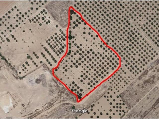 Terreno en venta Caudete