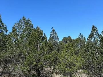 TERRENO EN VENTA CAÑON DE LA CARBONERA