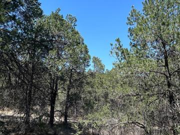 Terreno en venta cañon de la carbonera