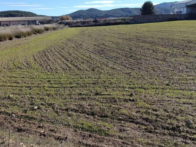 Terreno en venta Cehegín
