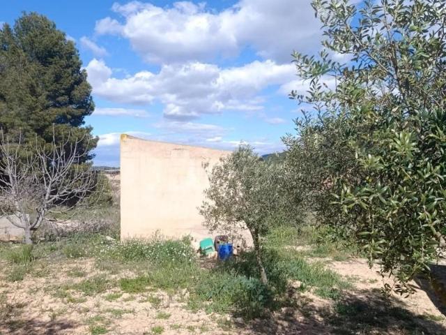 Terreno en venta Cehegín