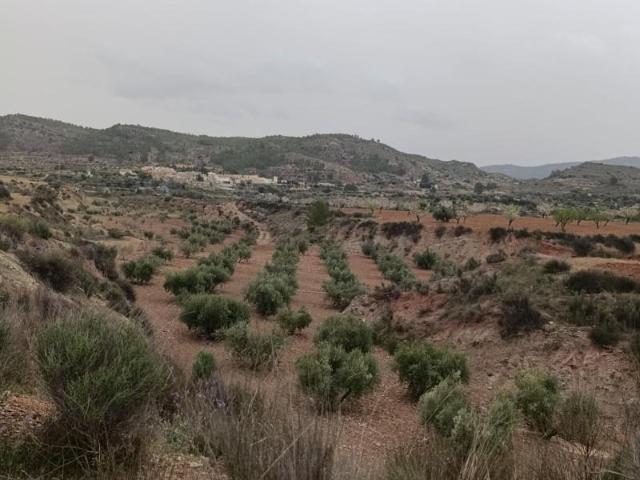 Terreno en venta Cehegín