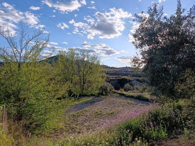 Terreno en venta Cehegín