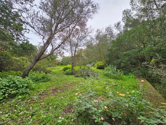 Terreno en venta cerca del Montgó