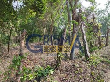 TERRENO EN VENTA CERCA LIBRAMIENTO Y SALIDA A TAMIAHUA