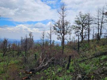Terreno en venta Chalco Estado de México