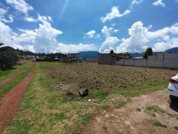 TERRENO EN VENTA, CHIGNAHUAPAN, PUEBLA